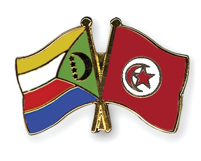 Fahnen Pins Komoren Tunesien