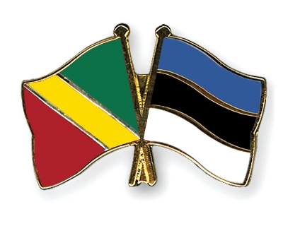 Fahnen Pins Kongo-Republik Estland