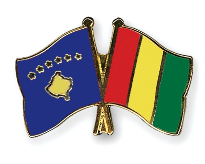 Fahnen Pins Kosovo Guinea