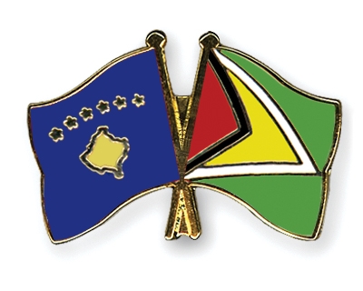 Fahnen Pins Kosovo Guyana