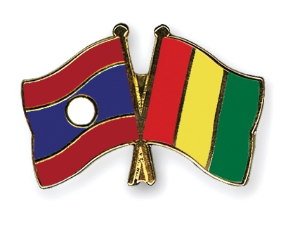 Fahnen Pins Laos Guinea