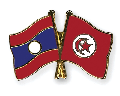 Fahnen Pins Laos Tunesien
