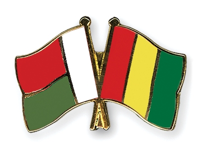 Fahnen Pins Madagaskar Guinea