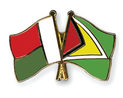 Fahnen Pins Madagaskar Guyana