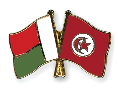 Fahnen Pins Madagaskar Tunesien