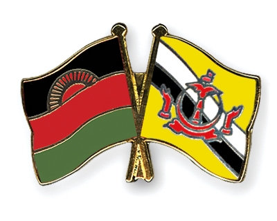 Fahnen Pins Malawi Brunei-Darussalam