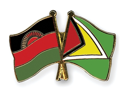 Fahnen Pins Malawi Guyana