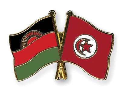 Fahnen Pins Malawi Tunesien