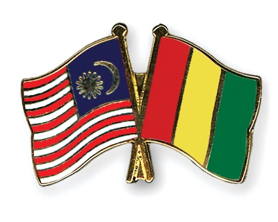 Fahnen Pins Malaysia Guinea