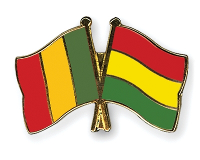 Fahnen Pins Mali Bolivien