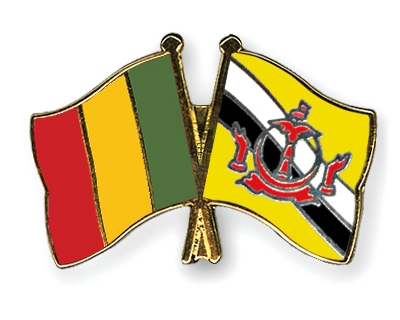 Fahnen Pins Mali Brunei-Darussalam