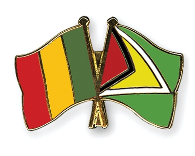 Fahnen Pins Mali Guyana