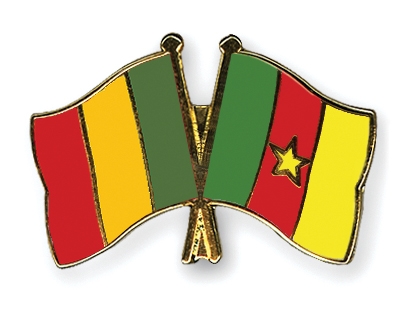 Fahnen Pins Mali Kamerun