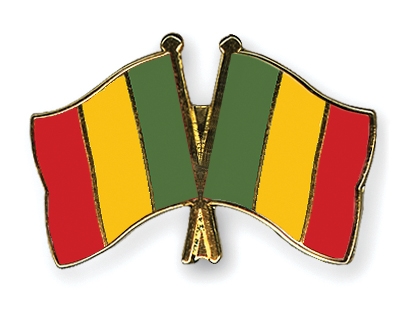 Fahnen Pins Mali Mali