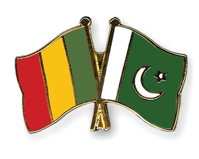 Fahnen Pins Mali Pakistan