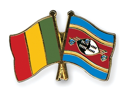 Fahnen Pins Mali Swasiland