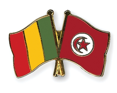 Fahnen Pins Mali Tunesien
