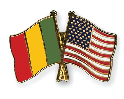 Fahnen Pins Mali USA