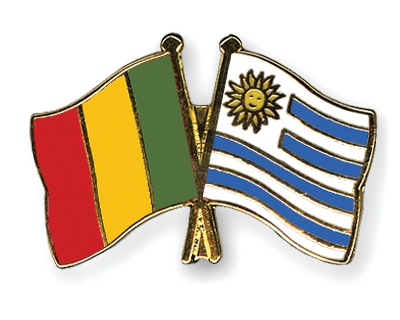 Fahnen Pins Mali Uruguay