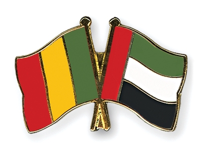 Fahnen Pins Mali Ver-Arab-Emirate