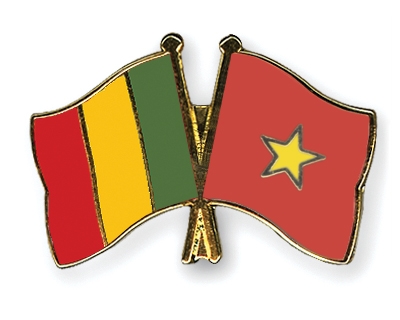 Fahnen Pins Mali Vietnam