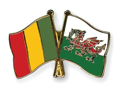 Fahnen Pins Mali Wales