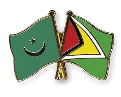 Fahnen Pins Mauretanien Guyana