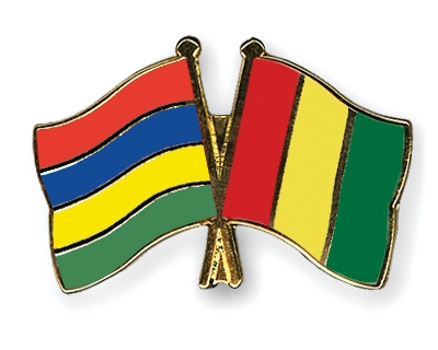 Fahnen Pins Mauritius Guinea