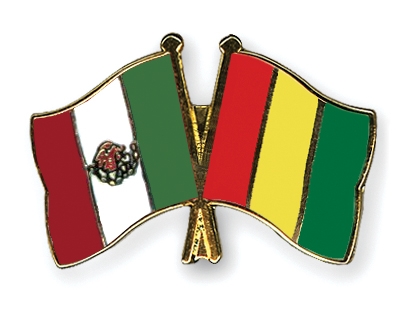 Fahnen Pins Mexiko Guinea