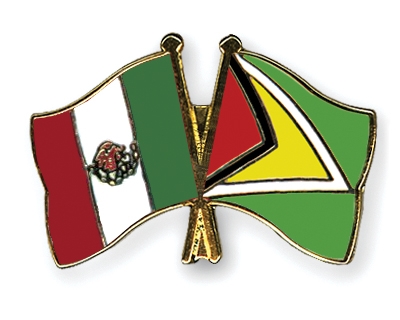 Fahnen Pins Mexiko Guyana