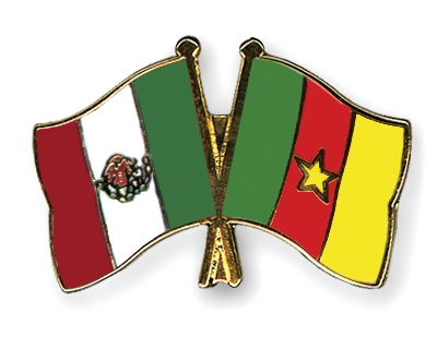 Fahnen Pins Mexiko Kamerun