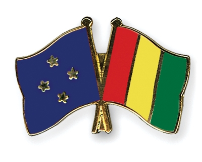 Fahnen Pins Mikronesien Guinea