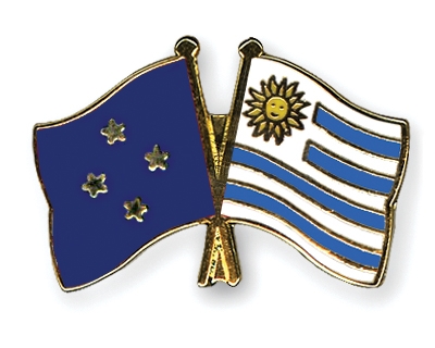 Fahnen Pins Mikronesien Uruguay