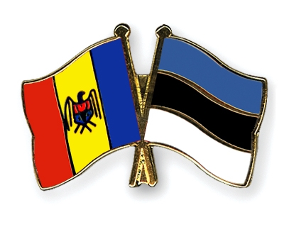 Fahnen Pins Moldau Estland