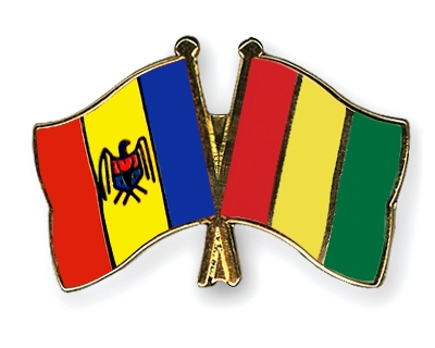 Fahnen Pins Moldau Guinea