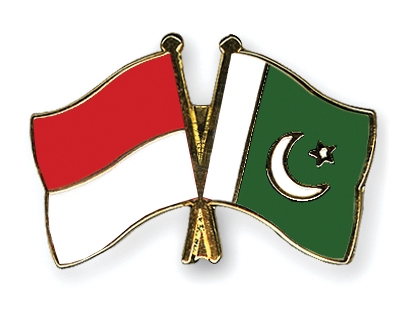 Fahnen Pins Monaco Pakistan