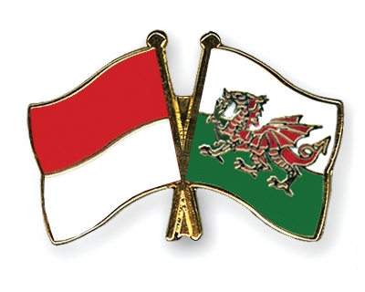 Fahnen Pins Monaco Wales