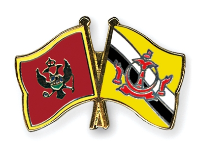 Fahnen Pins Montenegro Brunei-Darussalam