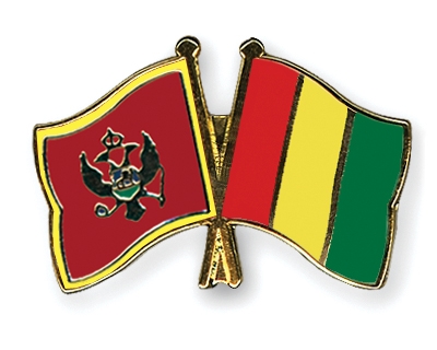 Fahnen Pins Montenegro Guinea