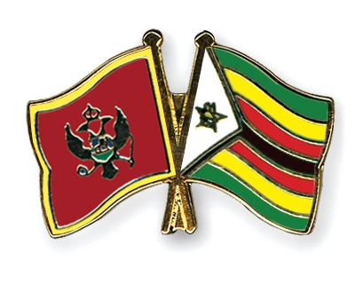 Fahnen Pins Montenegro Simbabwe