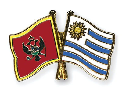 Fahnen Pins Montenegro Uruguay