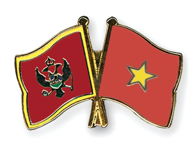 Fahnen Pins Montenegro Vietnam
