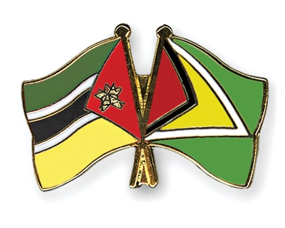 Fahnen Pins Mosambik Guyana