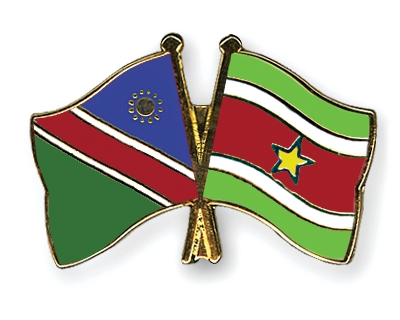 Fahnen Pins Namibia Surinam