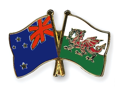 Fahnen Pins Neuseeland Wales