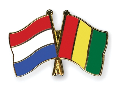 Fahnen Pins Niederlande Guinea