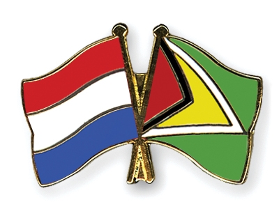 Fahnen Pins Niederlande Guyana