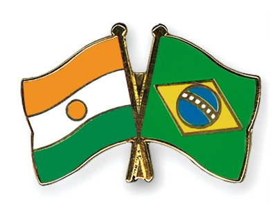 Fahnen Pins Niger Brasilien