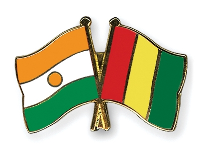 Fahnen Pins Niger Guinea