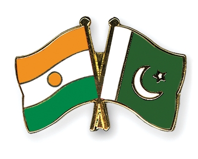 Fahnen Pins Niger Pakistan